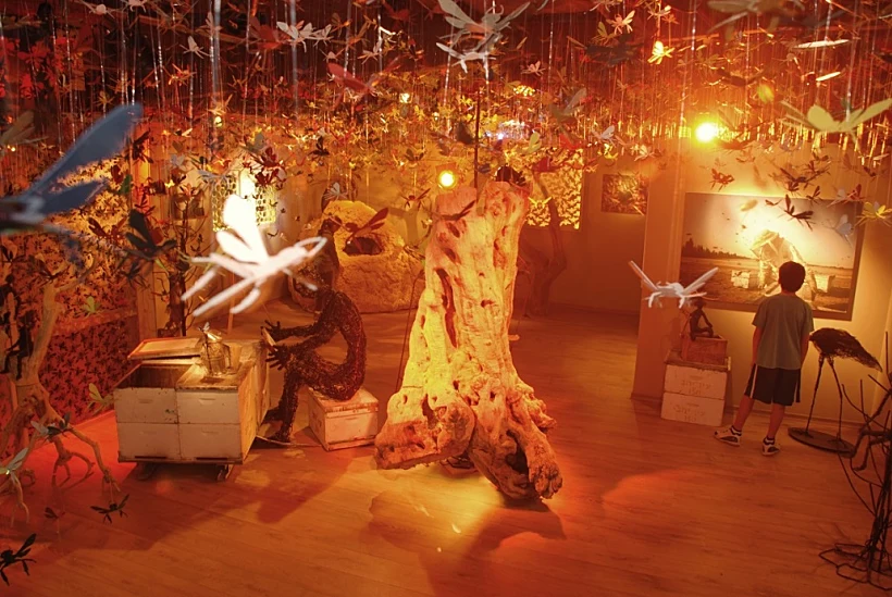 מכוורת פורת עין יהב