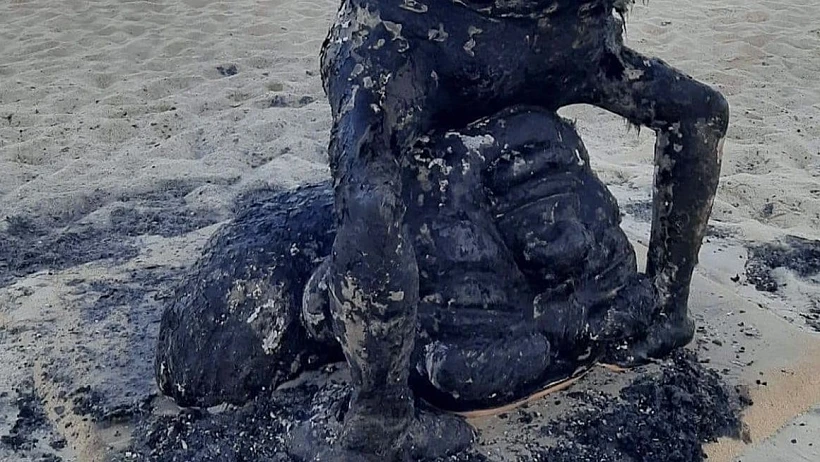 Whatsapp Image 2023 09 16 At 0