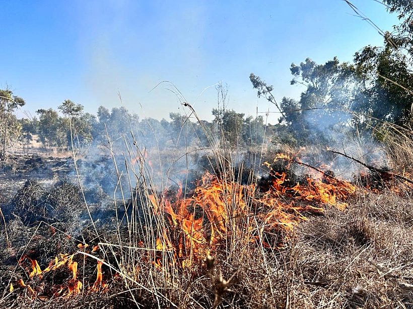שריפה בעוטף עזה