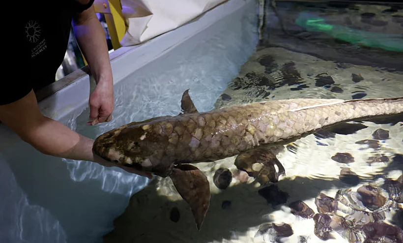 Screenshot 2023 09 27 At 15.12