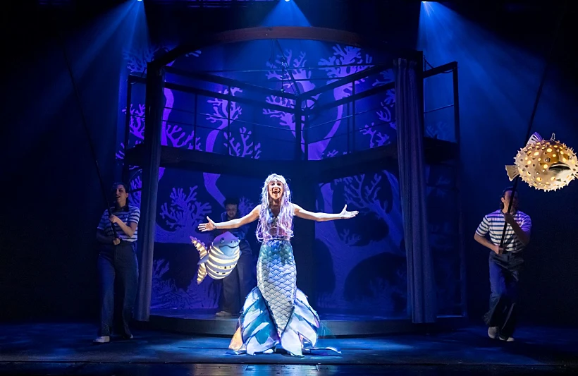 בת הים הקטנה, המדיטק חולון