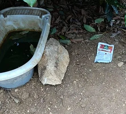 זירת הימצאות רעל בצפון