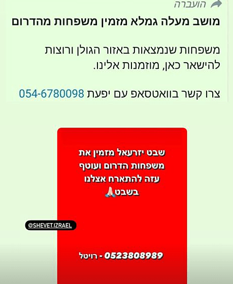 2023 10 08 111708