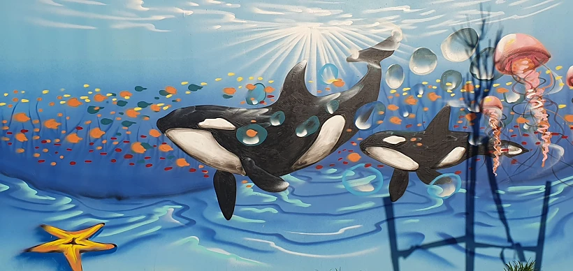 מיגוניות בפארק המוסיקה בשדרות