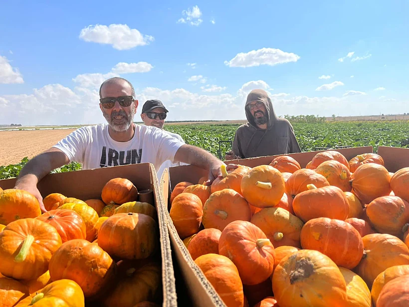 חקלאות ישראלית