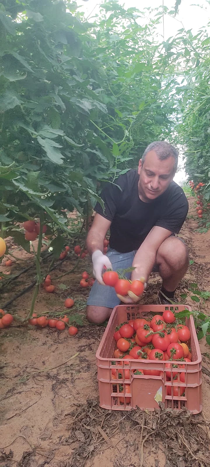חקלאות ישראלית