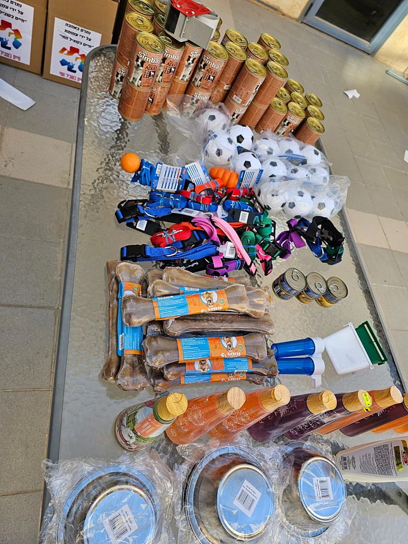 Whatsapp Image 2023 10 19 At 1