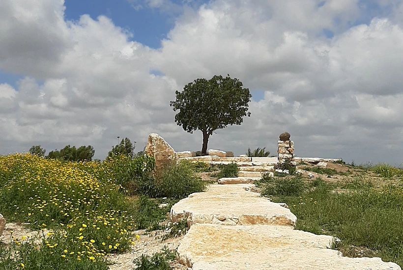 מצפור שוקה