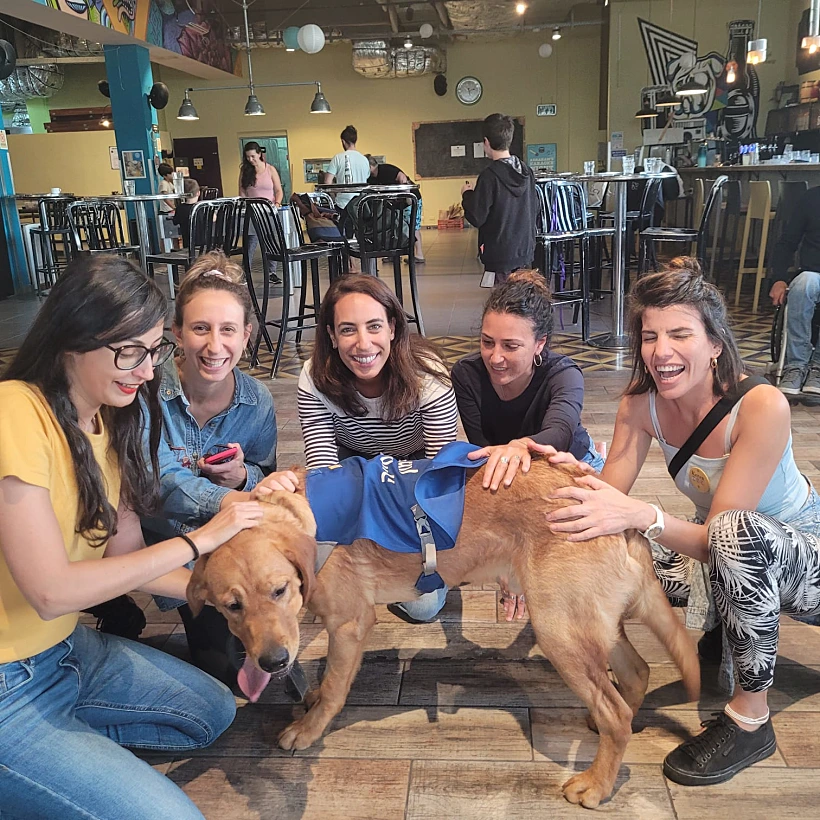 Whatsaפעילות הפגתית באברהם הוסטל