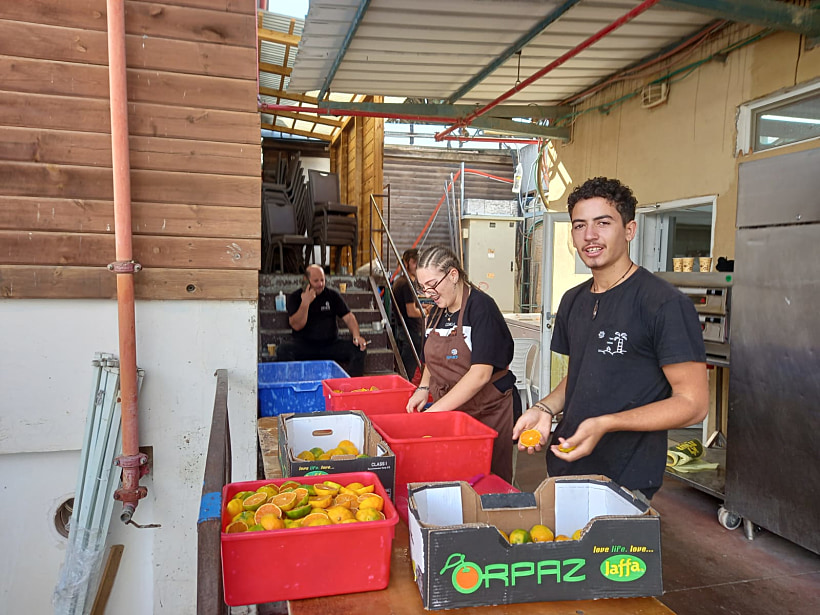 לואיזה יד השמונה