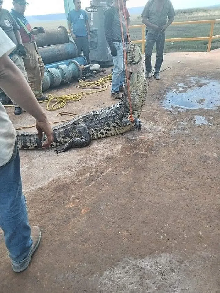 Destapando Tamaulipas 2