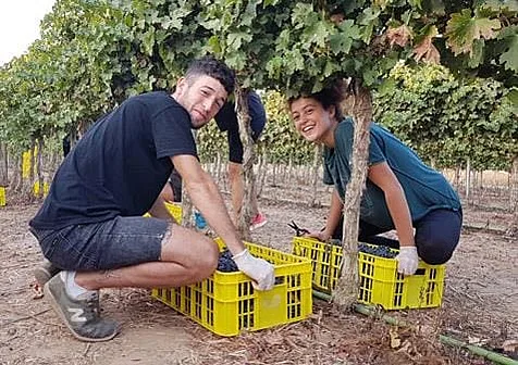 חקלאים, חקלאות מקומית