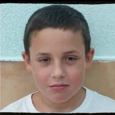 גל גולדשטיין אלמוג חרבות ברזל