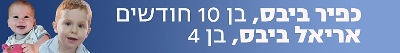 אריאל וכפיר ביבס