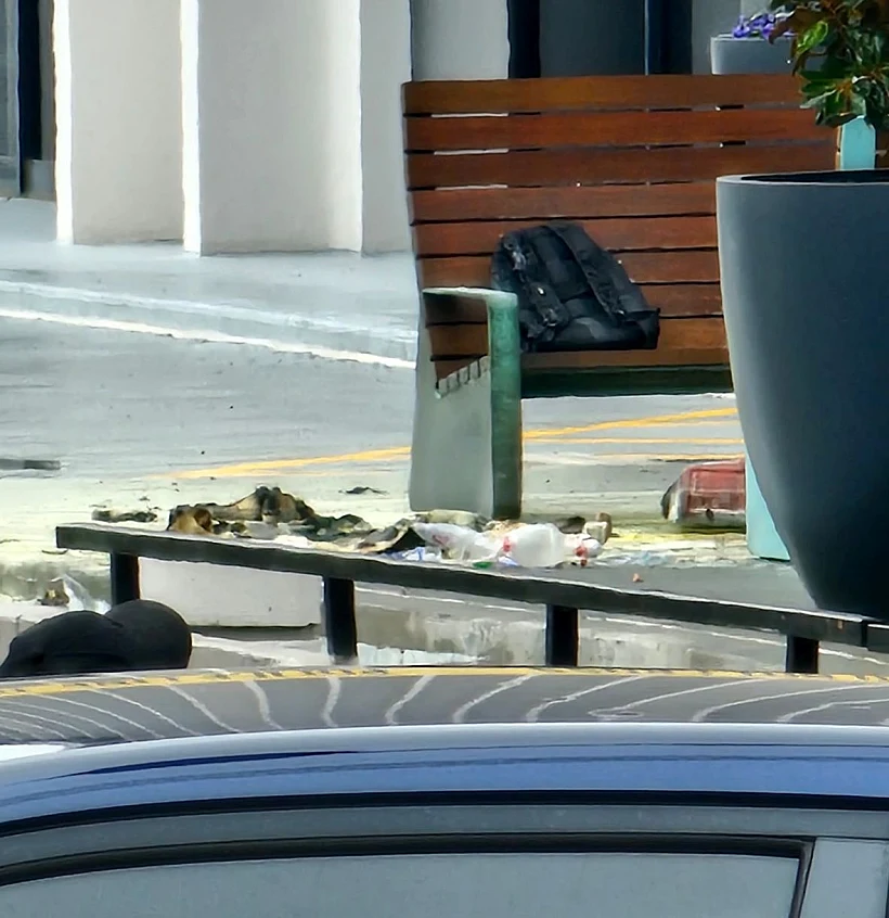 חרבות ברזל ארה"ב מפגינה פרו-פלסטינית הציתה את עצמה מול הקונסוליה הישראלית באטלנטה