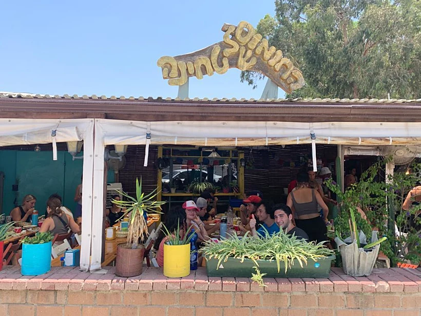 החומוס של טחינה