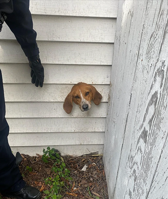 Sumter Police Department