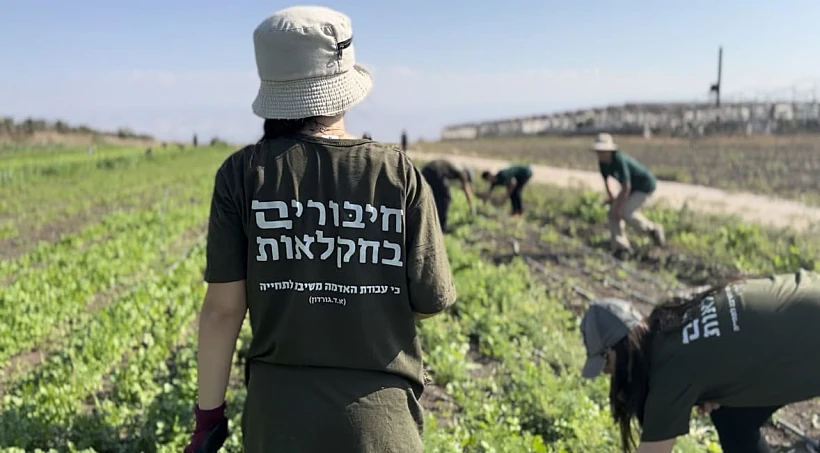 חיבורים בחקלאות