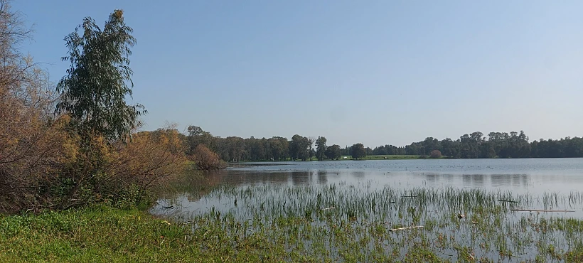 בריכת החורף חדרה