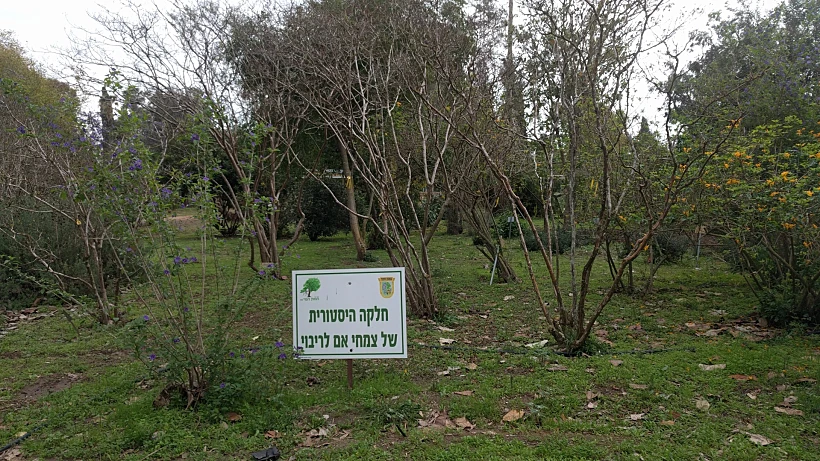 חוות הנוי ברופין