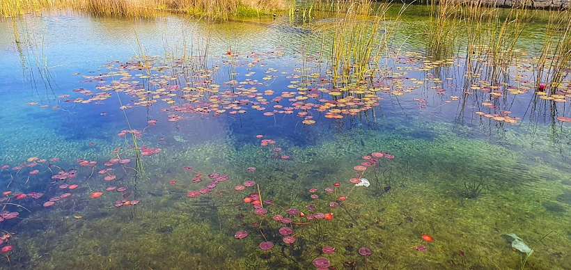 מונה בפארק אריאל שרון