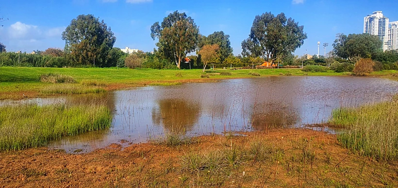 בריכת החורף בחוות שלם