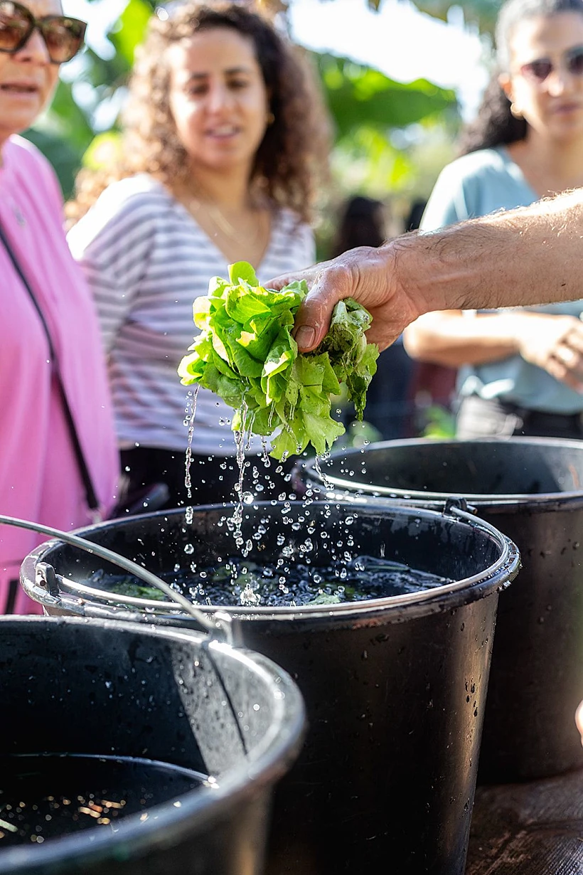 סיור קולינרי העמק השווה