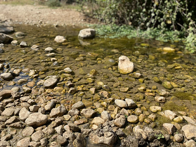 מעיין אחד בשבוע – עין אלון בכרמל