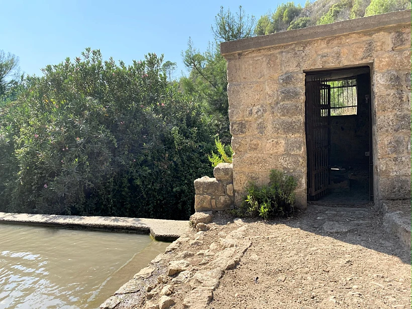 מעיין אחד בשבוע – עין אלון בכרמל