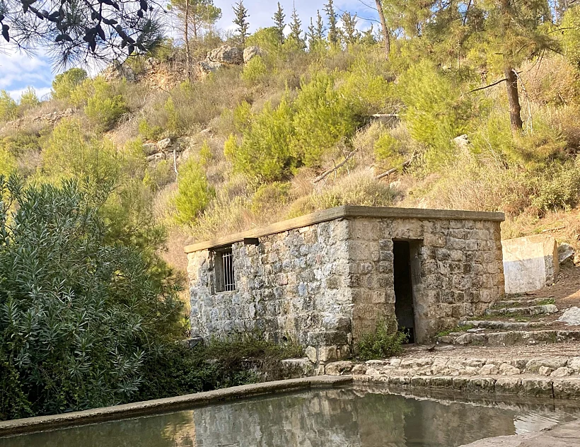 Whatsapp Image 2023 מעיין אחד בשבוע – עין אלון בכרמל