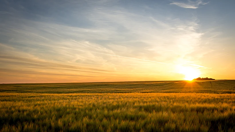 "אני מתגעגעת לשדות בכפר ולשקיעות שם"