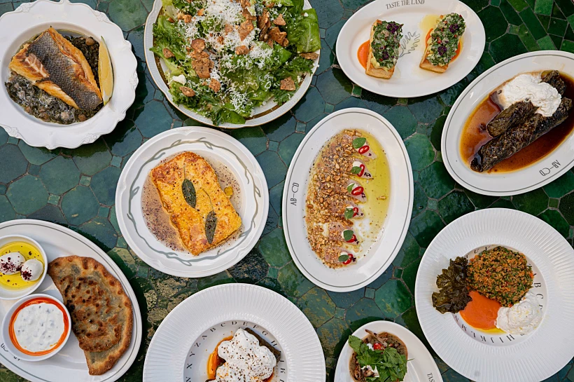 לואי חלבי, מסעדת abcd