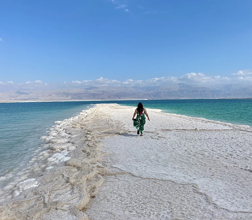 פטריות ים המלח