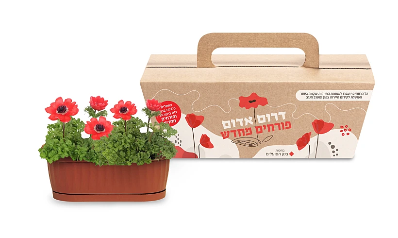 מארז דרום אדום בכל מקום