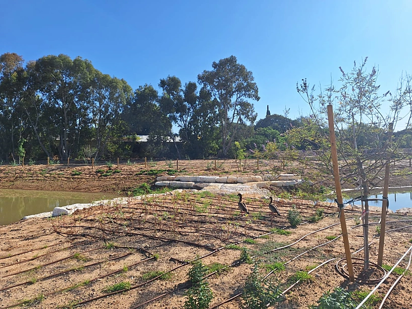 בריכת החורף המחודשת ופארק הטבע העירוני בחולון