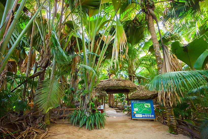 Praslin,,seychelles, ,שמורת ואלה דה מאי סיישל
