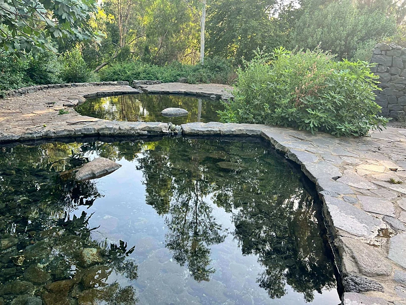 עינות סלוקיה