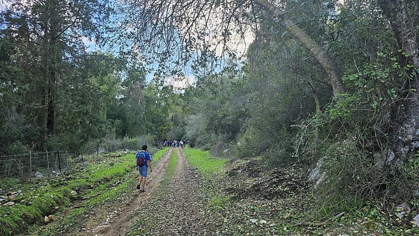 השביל הקסום ביער עופר