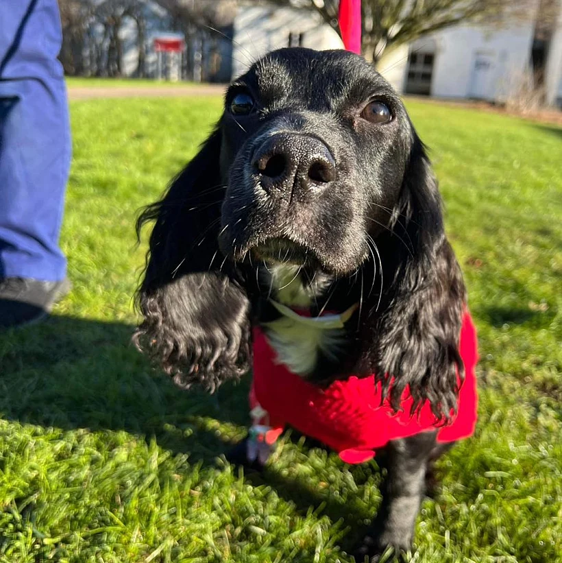 419336453 698855819043119 8741