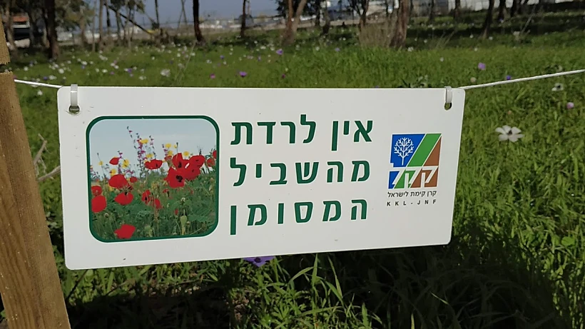 הודעה של קק"ל - מנחת מגידו