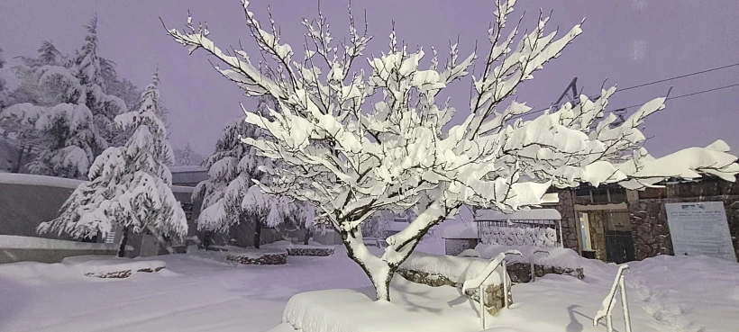 שלג בחרמון 2024