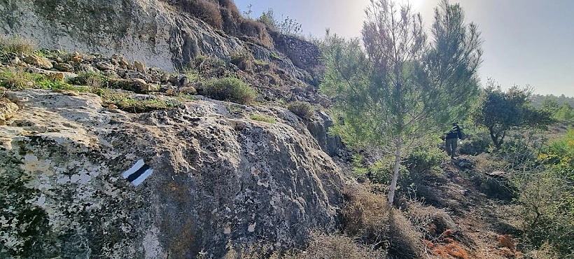 שביל צופה הדסה