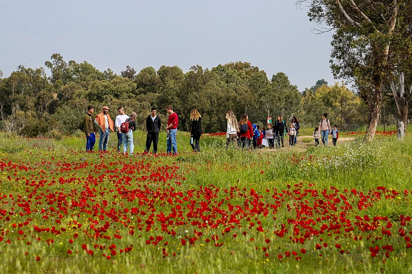 מטיילים מבקרים באירועי דרום אדום, 2023