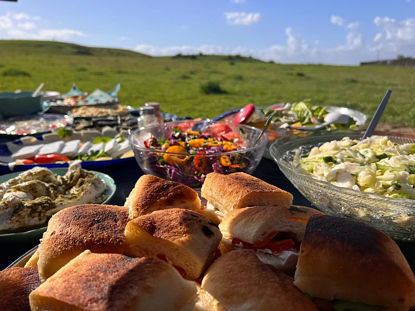סלי הפיקניק של לילי מסלילי