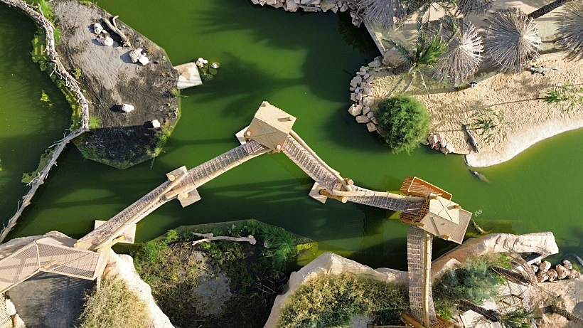 Dcim102mediadji גשר התנינים במדבריום