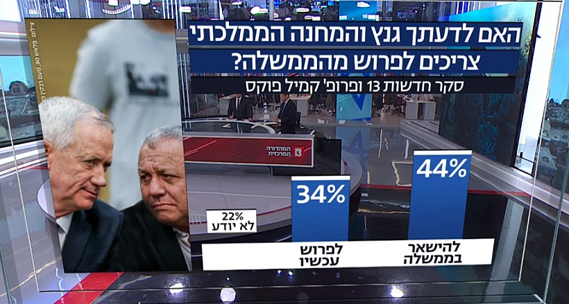 חרבות ברזל קמיל פוקס