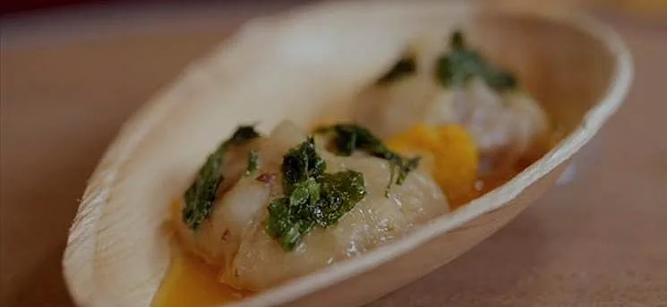 גיוזת בשר ופירות ברוטב משמשים