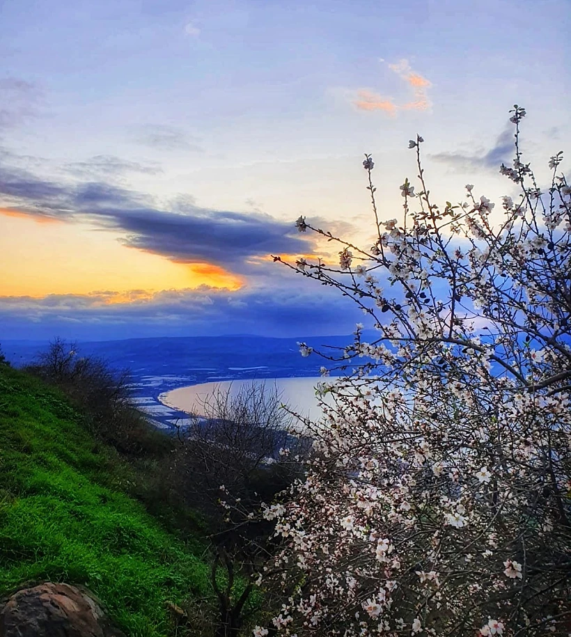 הנוף מקפה חמה