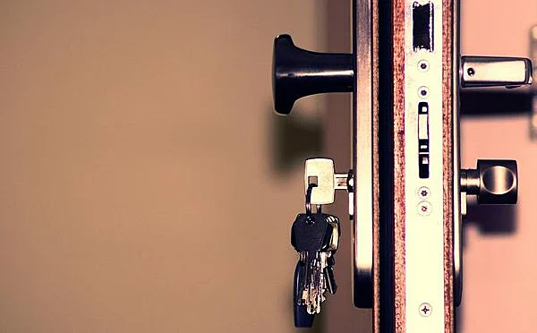 Resized Pexels Photo 792034