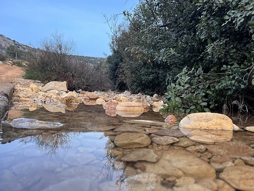 עין מג'נונה - 'המעיין המשוגע'